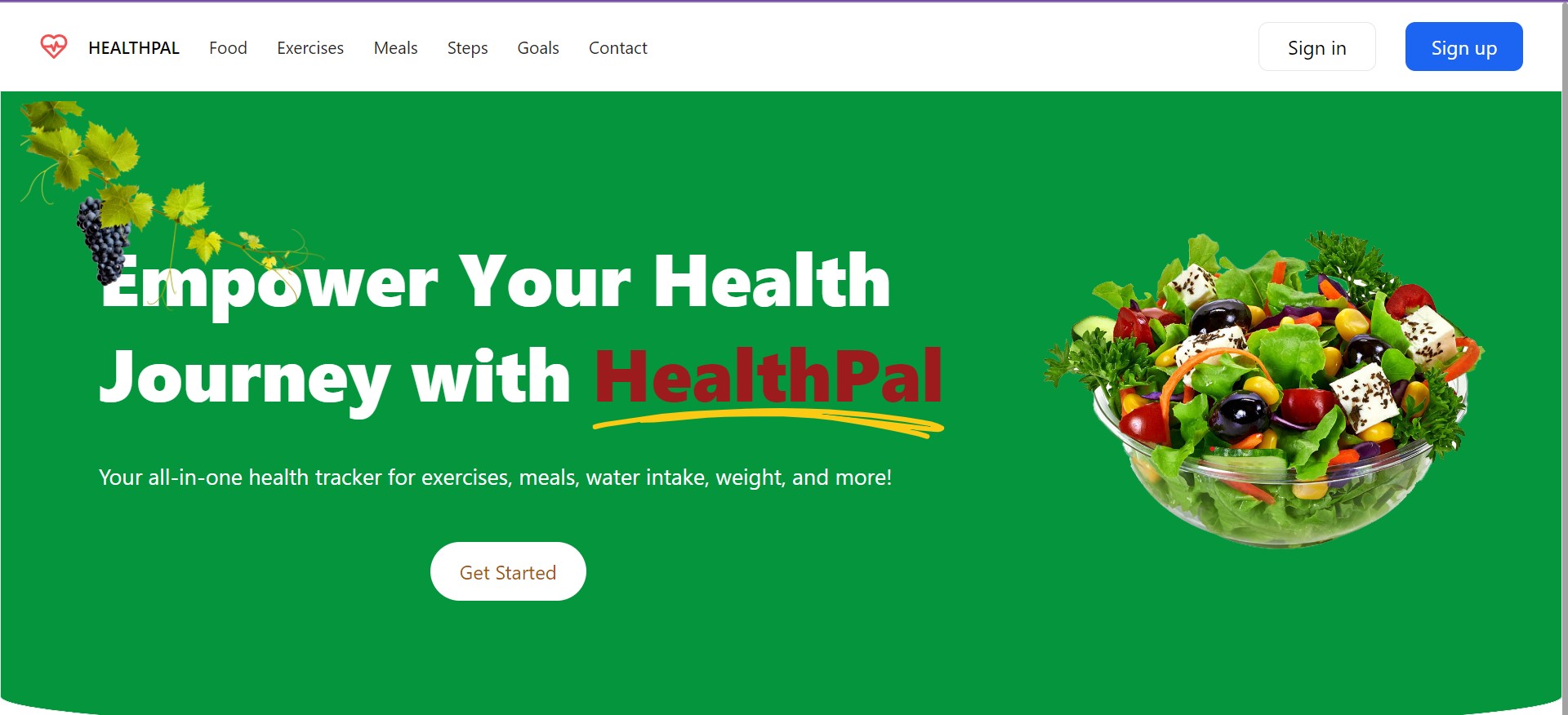 HealthPal